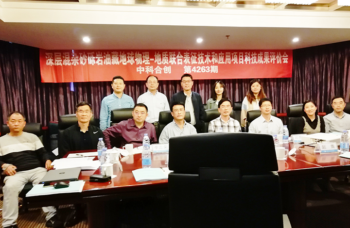 深层混杂砂砾岩油藏地球物理-地质联合表征技术和应用 anli.jpg